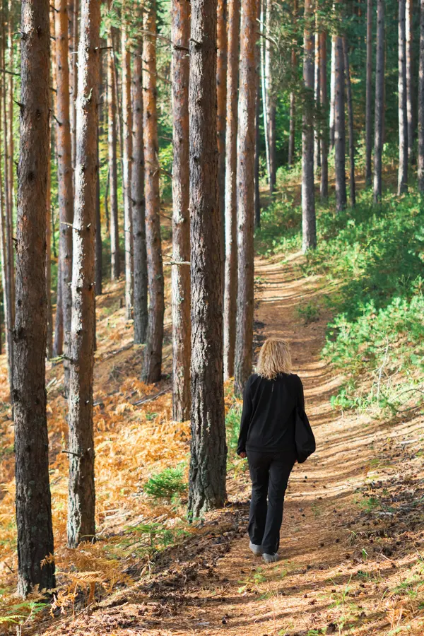 Jeune femme avec les bras dirigés en l'air dans une foret