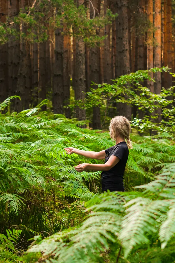 Jeune fille qui se relaxe dans une nature luxuriante sur un tapis de fougéres de foret